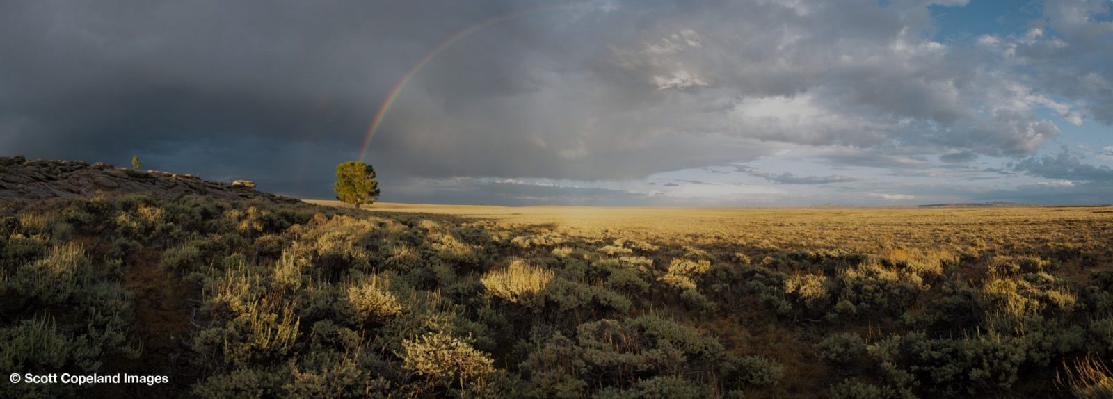 Support solar energy in Wyoming – Tuesday, May 10