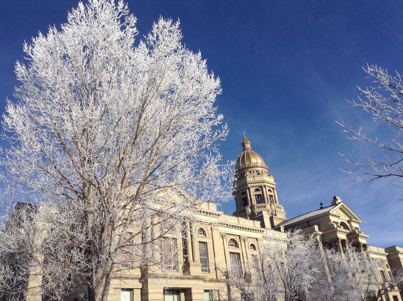 Live Stream: Governor Matt Mead’s State of the State Address