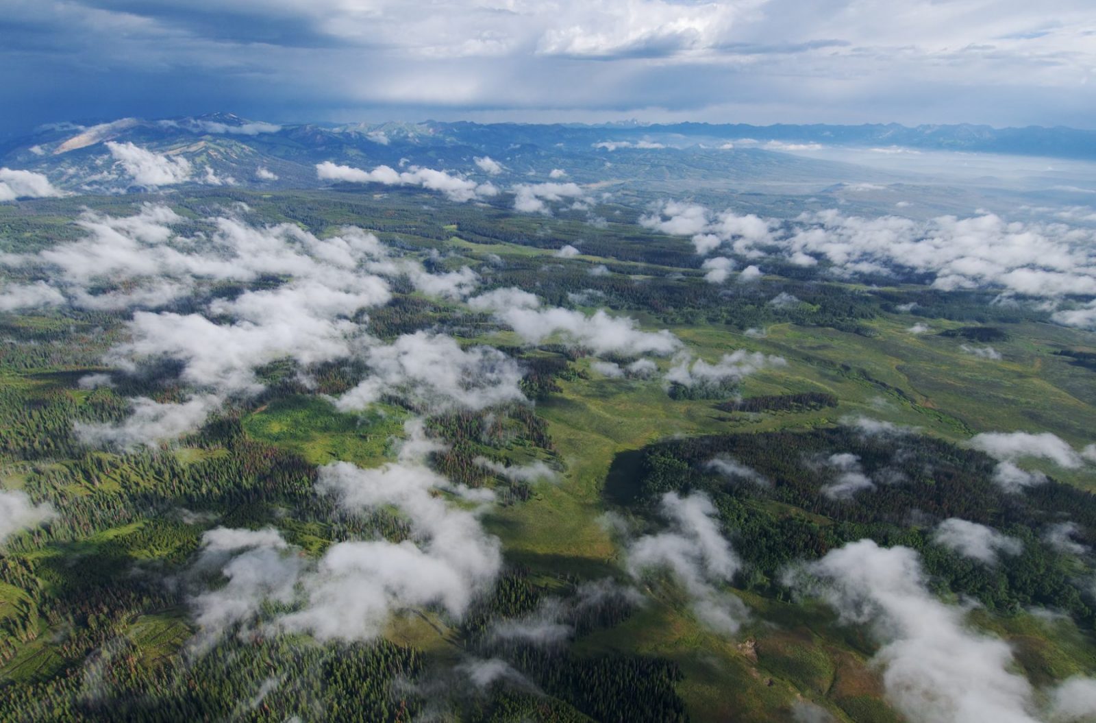 Victory in the Wyoming Range!