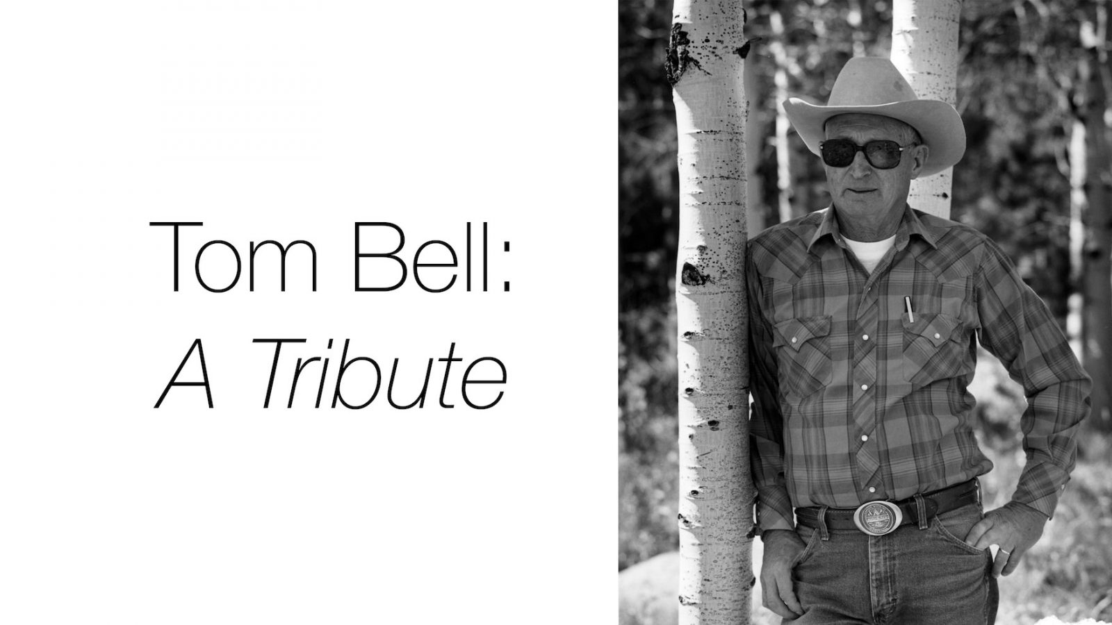 Tom Bell: A Tribute