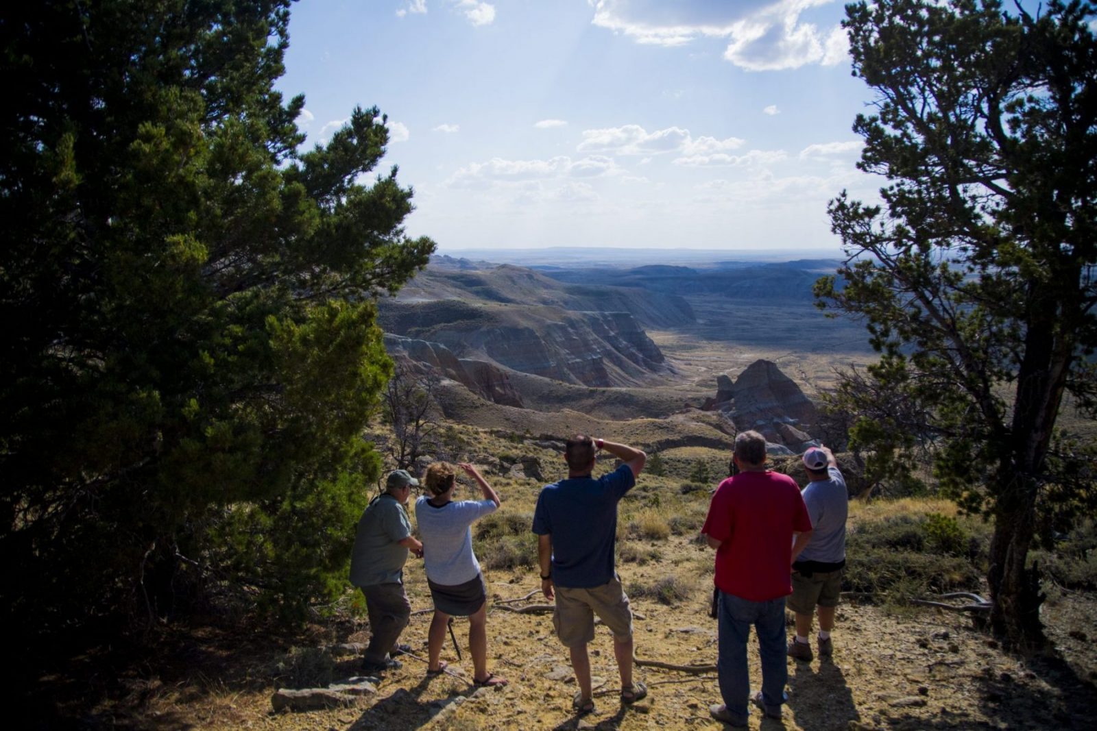 A Summer in the Red Desert