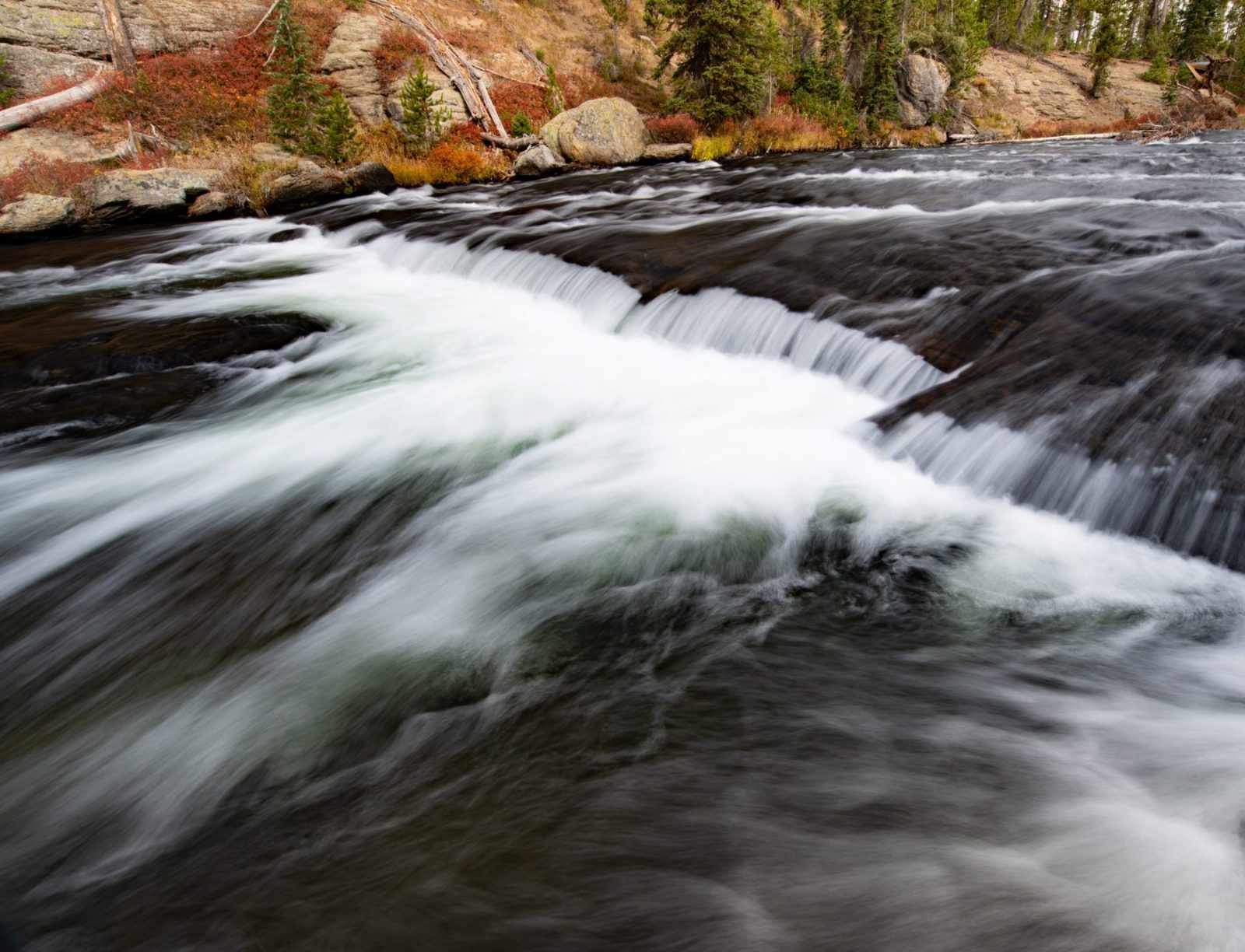 WOC is Working for Clean Water