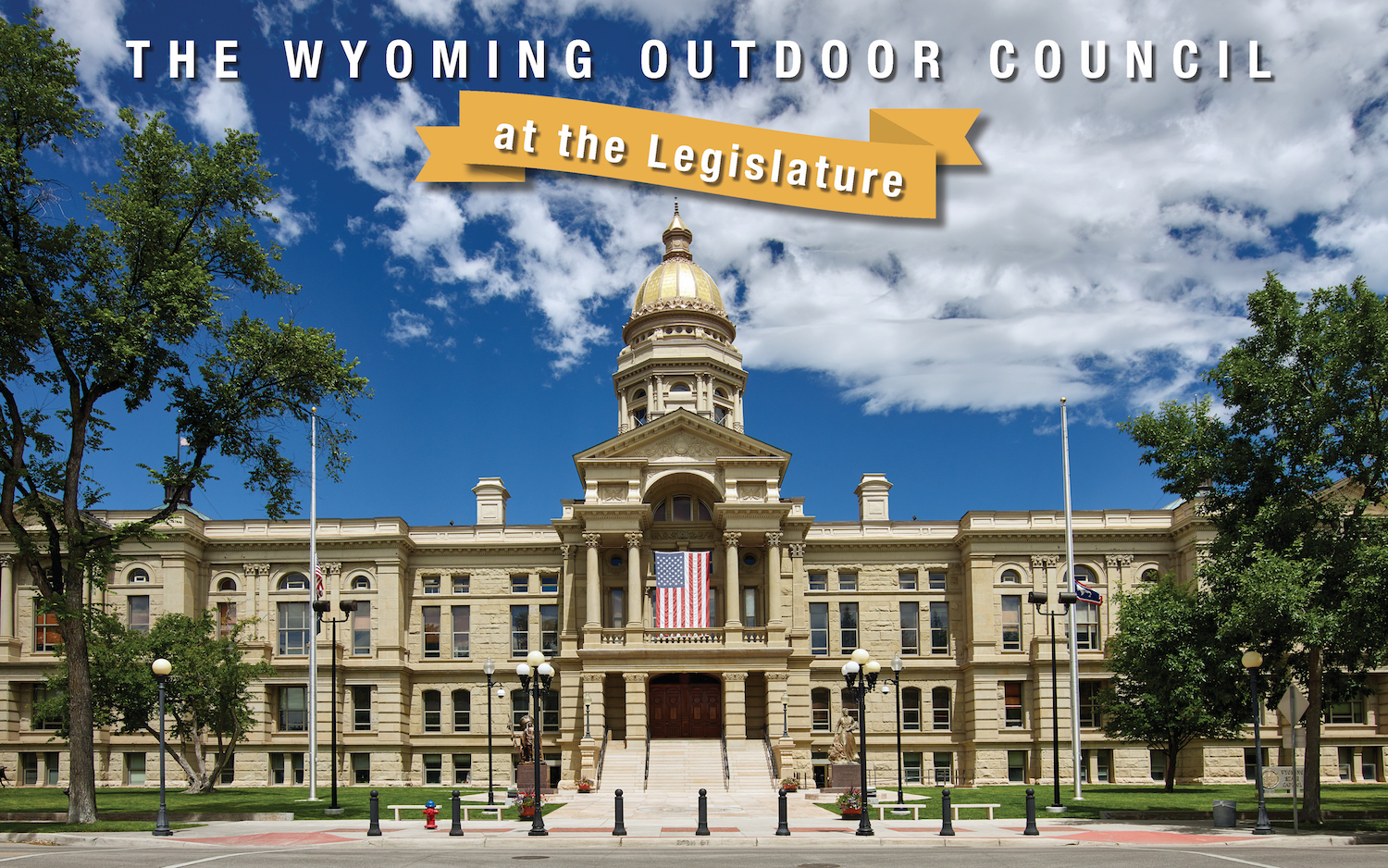 Leading smart conservation policy at the state legislature