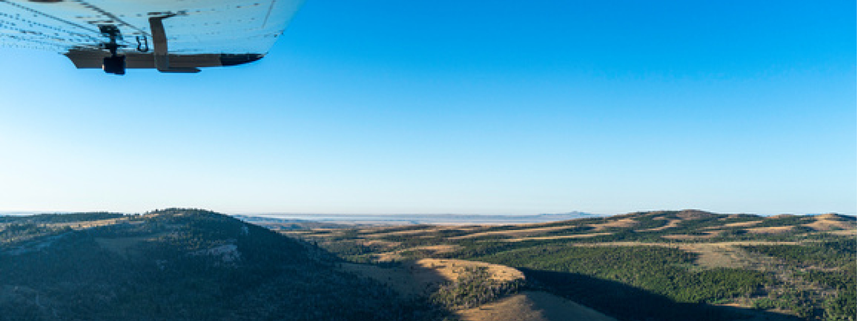 Q&A: An Eagle-Eye View of the Red Desert