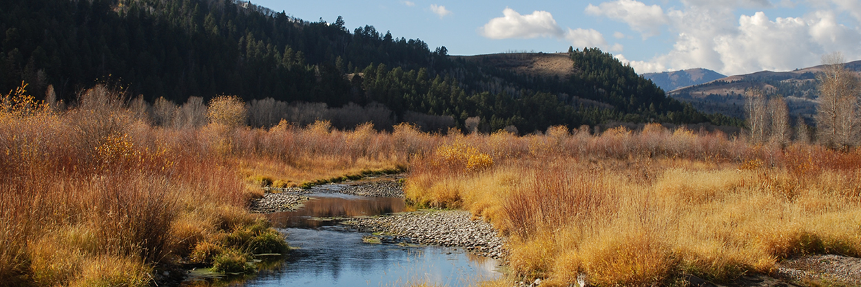 Snake River near South Park. Image: Susan Marsh