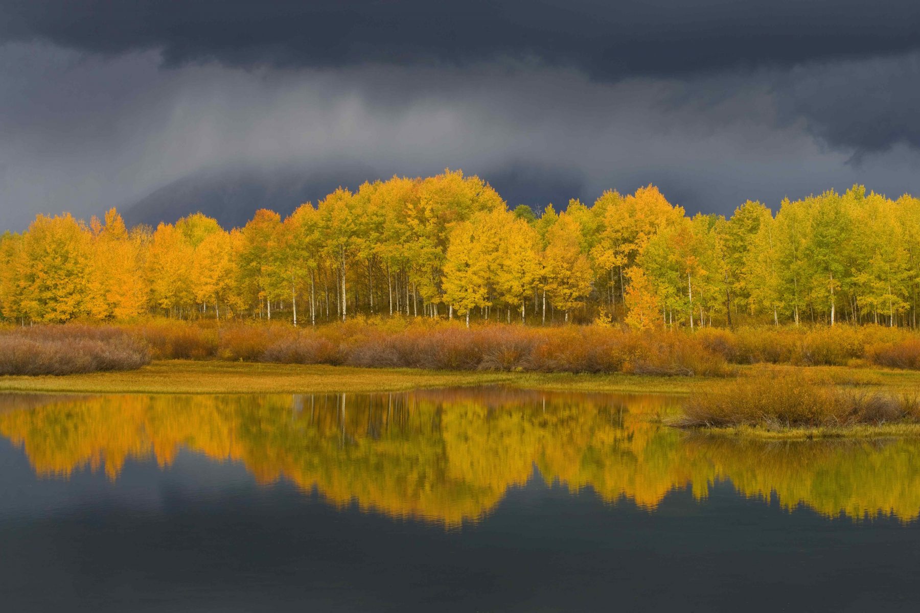 Fall colors in Grand Teton National Park.