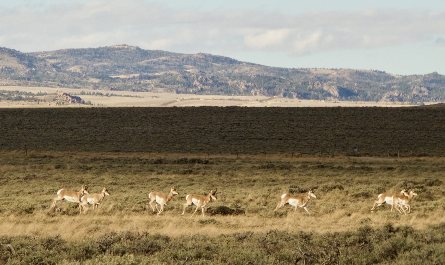 The public lands lease system is broken. Let’s fix it.