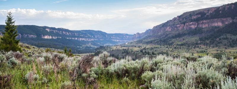 STAFF FAVORITES: CELEBRATING SUMMER ON WYOMING’S PUBLIC LANDS